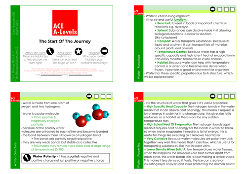 A Level Biology I Section 2 Biological Molecules Revision Cards