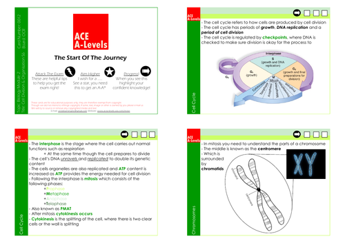 A Level Biology I Section 6 Cell Division & Cell Organisation Revision Cards