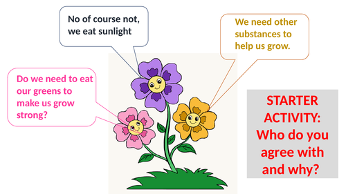 Simple lesson on plant minerals for a low ability set