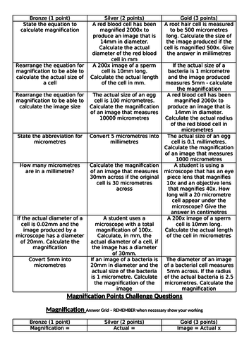 Magnification Questions