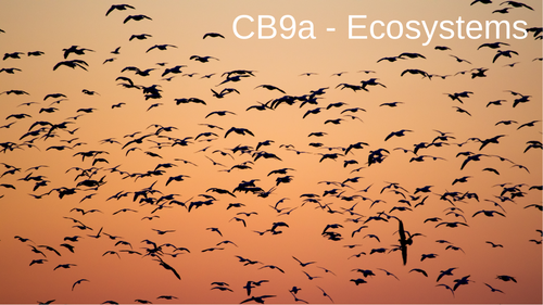 CB9a - Ecosystems
