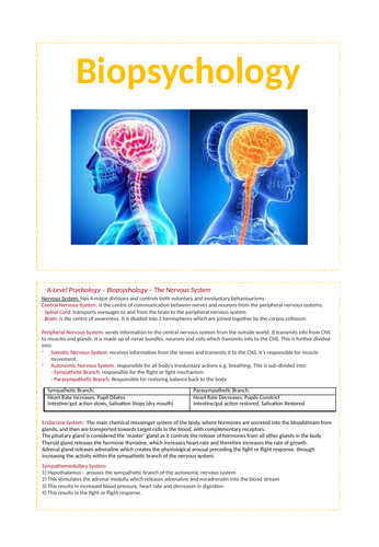 Biopsychology - AQA Psychology A-level