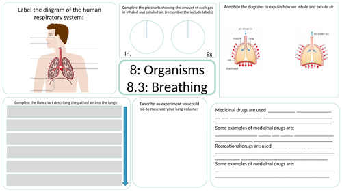 KS3 AQA Activate 2 Organisms part 2 Revision mats