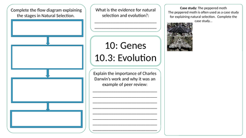 KS3 AQA Activate 2 Evolution part 2 revision mats