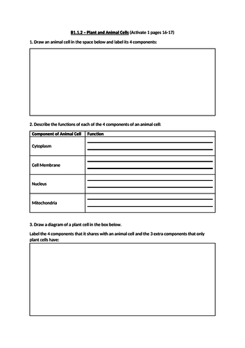 B1.1 Cell SOW Activate 1