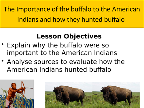 The Importance of the Buffalo