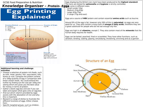 Protein and Eggs Knowledge Organiser for FPN GSCE