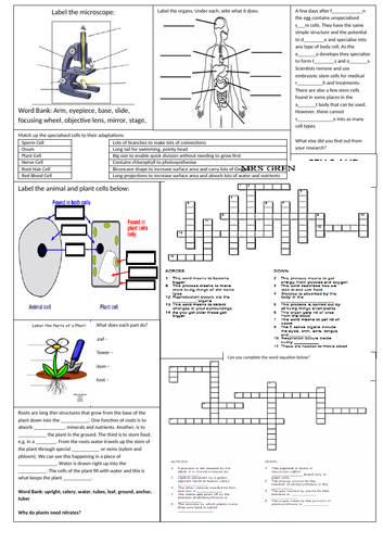 KS3 Cells and Organs Revision Sheet