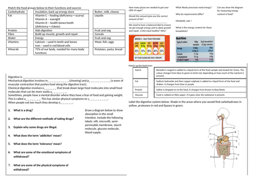 KS3 Health, Diet and Digestion Revision Sheet
