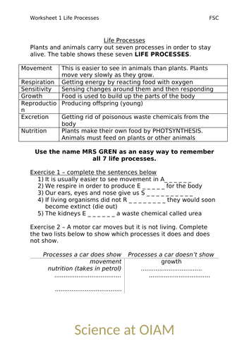 Life Processes worksheet - Low Ability