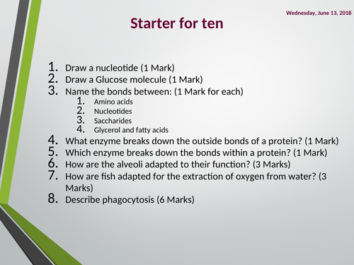 Root pressure, Apoplastic and Symplastic pathways, A Level Biology, AQA, 7401/7402
