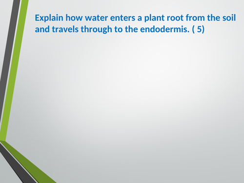 Transpiration and cohesion tension lesson. A Level Biology, AQA, 7401/7402