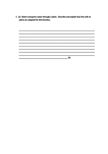 Translocation lesson. A Level Biology, AQA, 7401/7402