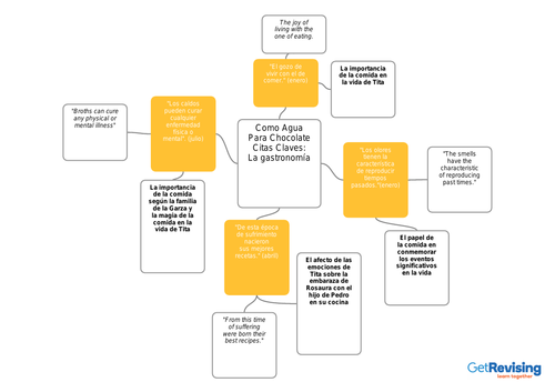 Como Agua Para Chocolate Quotes & Explanations