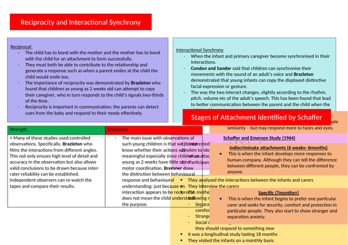 AQA PSYCHOLOGY A-LEVEL PAPER 1 NOTES