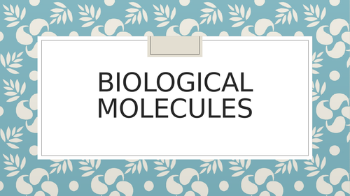 Biological Molecules Powerpoint