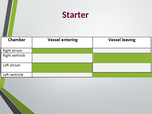 Cardiac Cycle lesson. A Level Biology, AQA, 7401/7402