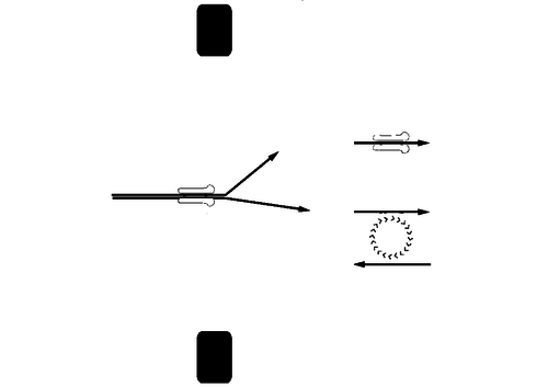 Co-Transport lesson. A Level Biology, AQA, 7401/7402