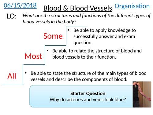 GCSE Biology: blood vessels