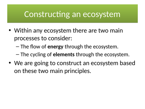 Constructing an ecosystem