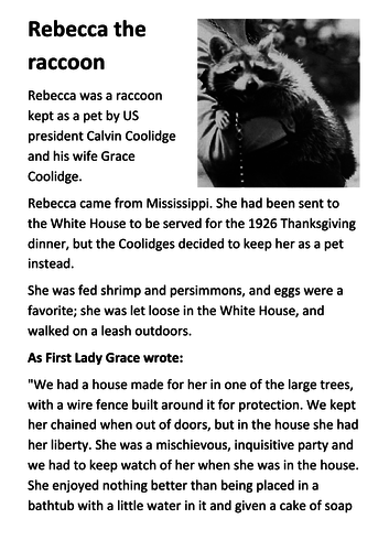 Rebecca the Presidents raccoon Handout