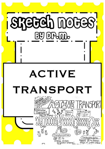 Active Transport Sketch Notes