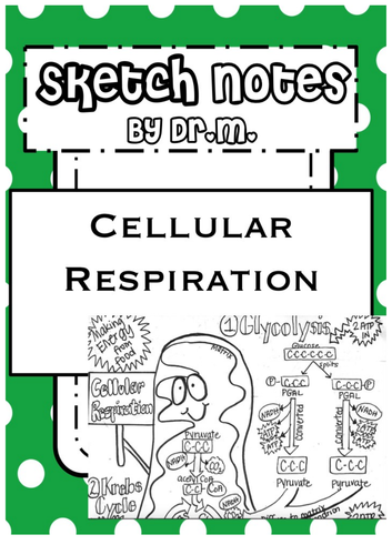 Cellular Respiration Sketch Notes