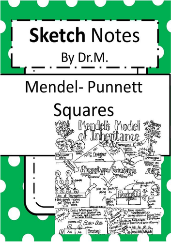 Mendel Punnett Squares  Sketch Notes