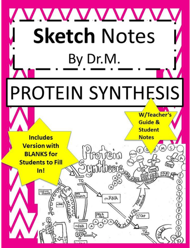 Protein Synthesis Sketch Notes