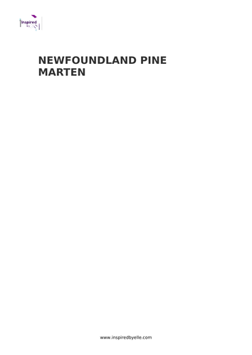 Newfoundland Pine Marten - Colouring Sheet