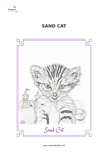 Sand Cat - Colouring Sheet