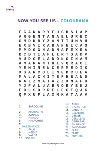 Word Search - Now You See Us - Colourama