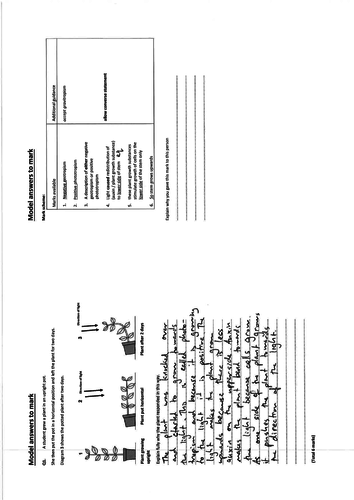 Edexcel IGCSE Plant tropisms