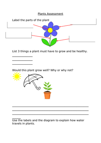 Plants assessment