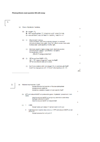 A level -Photosynthesis progress check with essay framework