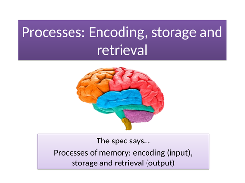 GCSE Psychology AQA New Spec 2017 Paper 1 Cognition and Behaviour - MEMORY - Full Topic Resources