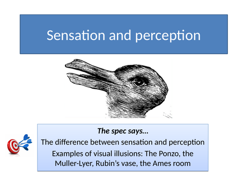 GCSE Psychology AQA New Spec 2017 Paper 1 Cognition and Beh - PERCEPTION -  Full Topic Resources