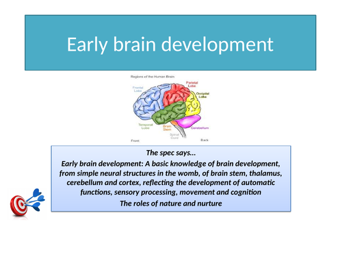 GCSE Psychology AQA New Spec 2017 Paper 1 Cognition & Behaviour - DEVELOPMENT - Full Topic Resources