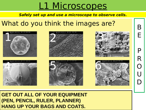 Cells: L1 Microscopes