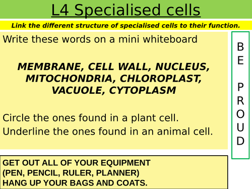 Cells: L4 Specialised cells