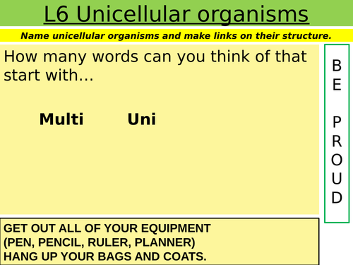 Cells: L6 Unicellular