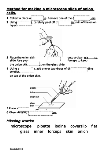 Microscope slide - how to make one