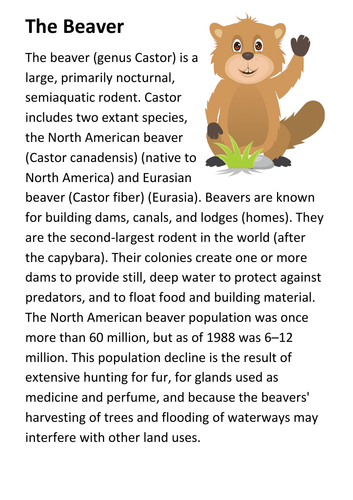 The Beaver Handout