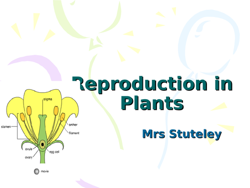 Reproduction in Plants for iGCSE