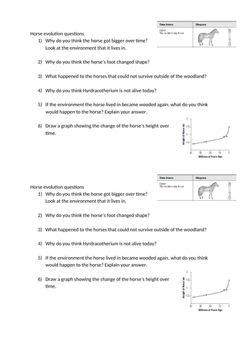 Evolution of the Horse Year 6 Science