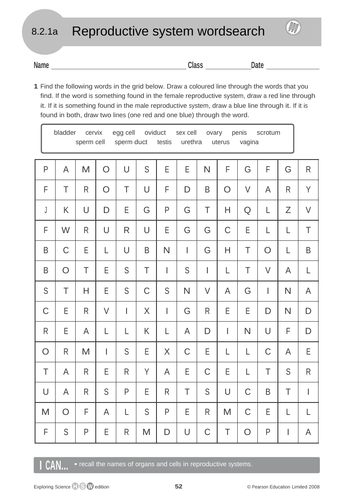 Lesson and resources on Puberty
