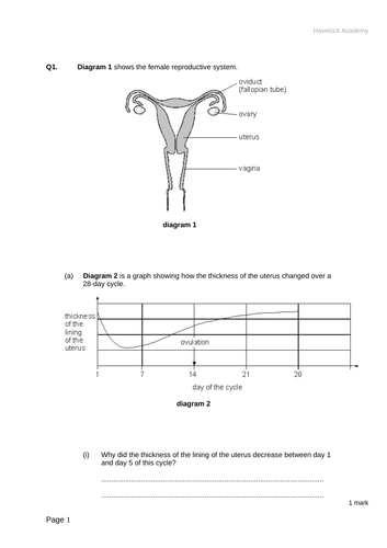 Lesson And Resources On Ivf 