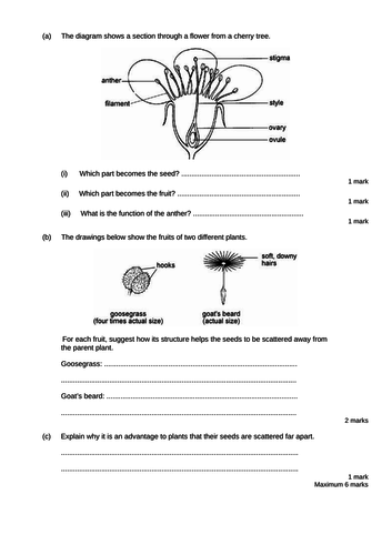 Lesson and resources on plant reproduction