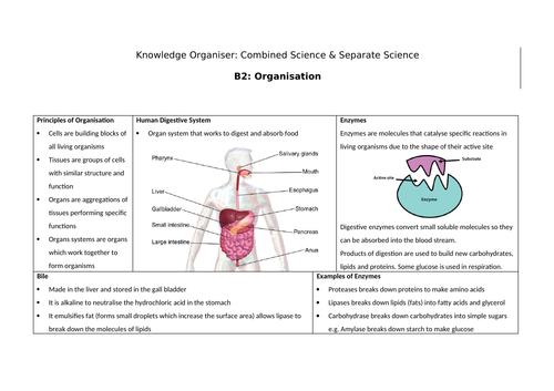 AQA B2 Knowledge Organiser