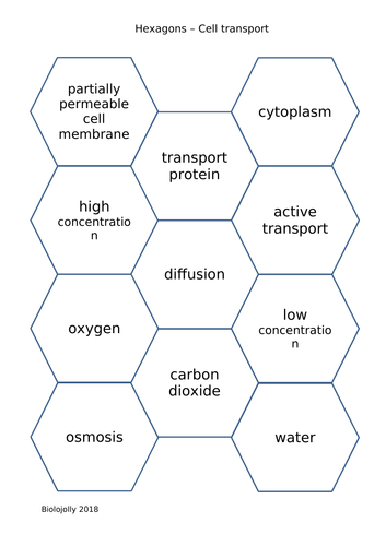 Cell transport - SOLO Hexagons